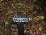 image of grave number 101813